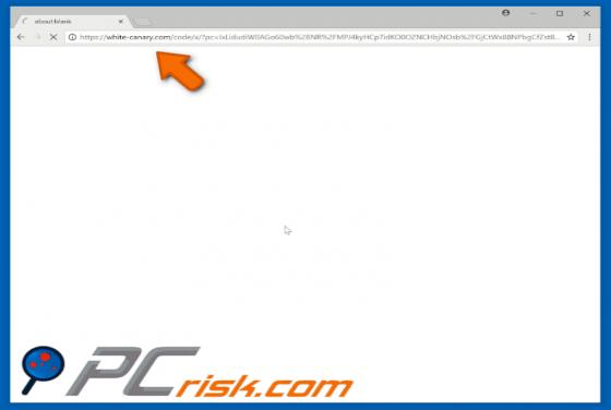 White-canary.com POP-UP Redirect
