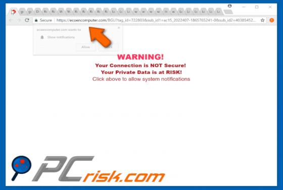 Ecoencomputer.com POP-UP Redirect
