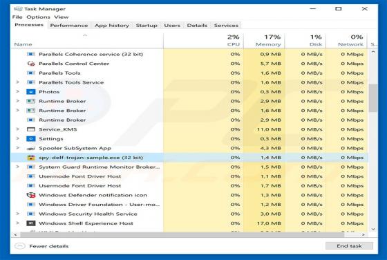 Spy.Delf Trojan Virus