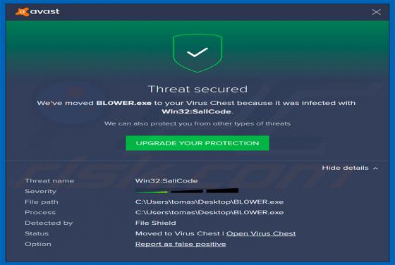 Sality Trojan Virus