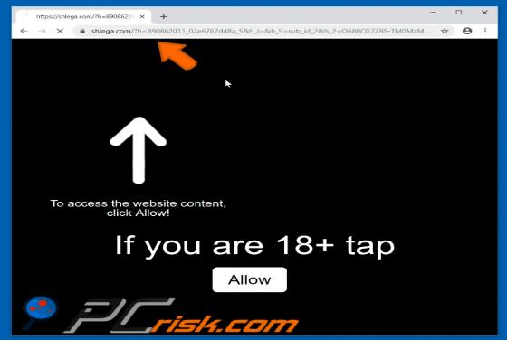 Shlega.com POP-UP Redirect