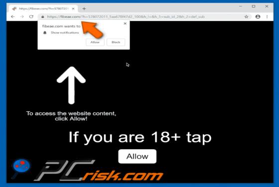Fibeae.com POP-UP Redirect