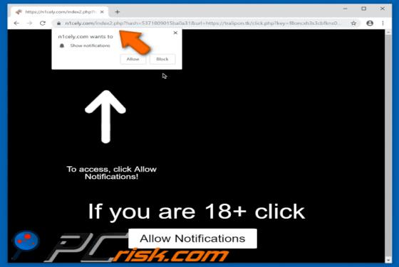 N1cely.com POP-UP Redirect
