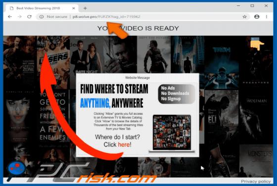 Wolve.pro POP-UP Redirect