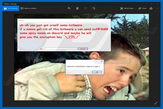 Birbware Ransomware
