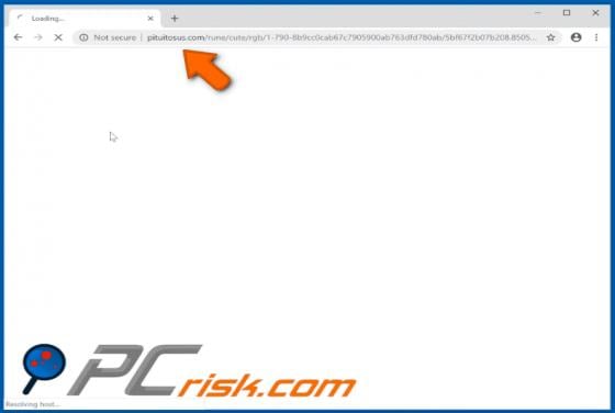 Pituitosus.com POP-UP Redirect