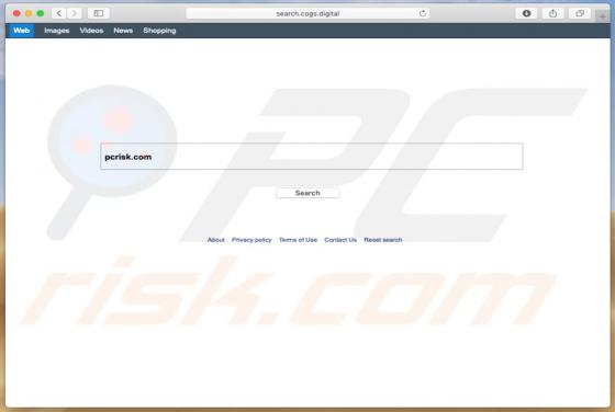 Search.cogs.digital Redirect (Mac)