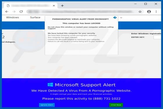PORNOGRAPHIC VIRUS ALERT FROM MICROSOFT POP-UP Scam