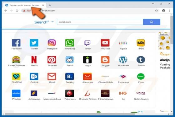 Easy Access to Internet Services Browser Hijacker