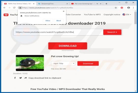 Youtubnow.com Virus