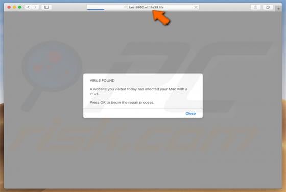 Wtflife POP-UP Scam (Mac)