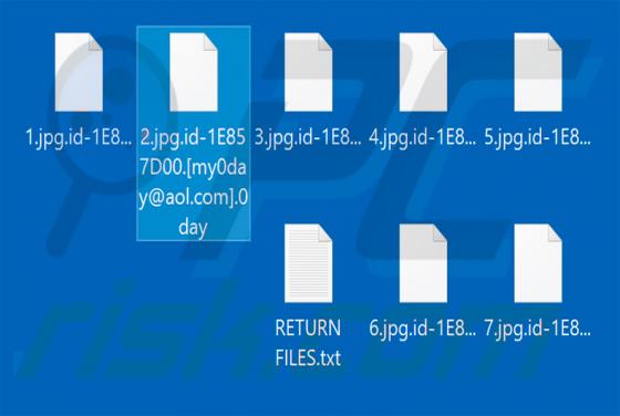 0day Ransomware
