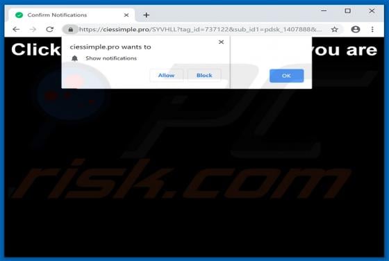 Ciessimple.pro Ads