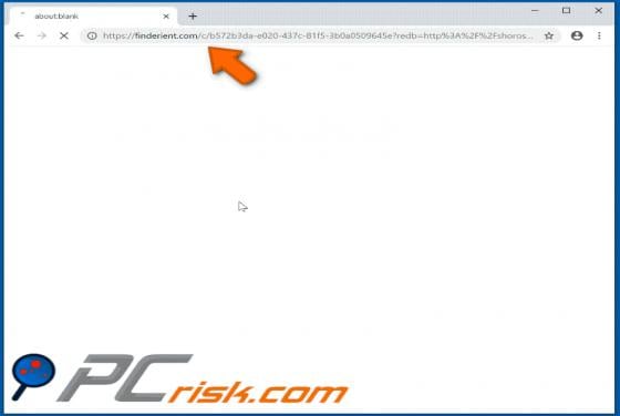 Finderient.com Ads