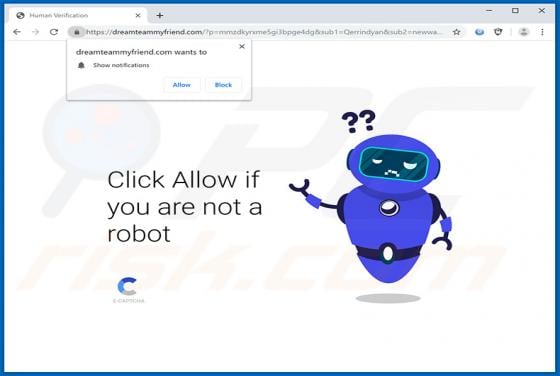 Dreamteammyfriend.com Ads
