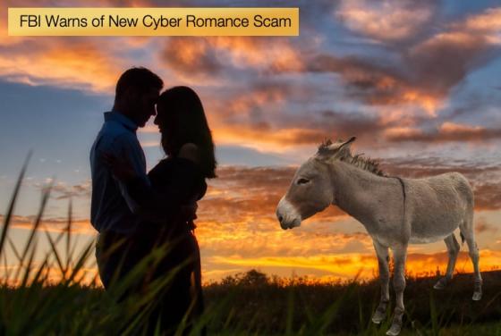 FBI Warns of New Cyber Romance Scam