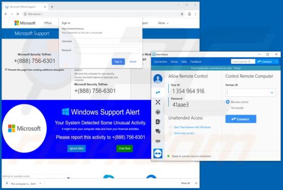 TeamViewer Tech Support Scam