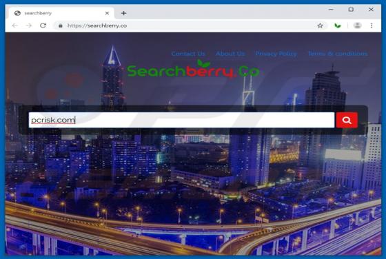 Searchberry.co Redirect