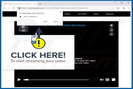 Rumiceseeds.com Ads
