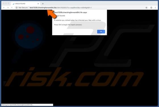 Checkingforward POP-UP Scam (Mac)