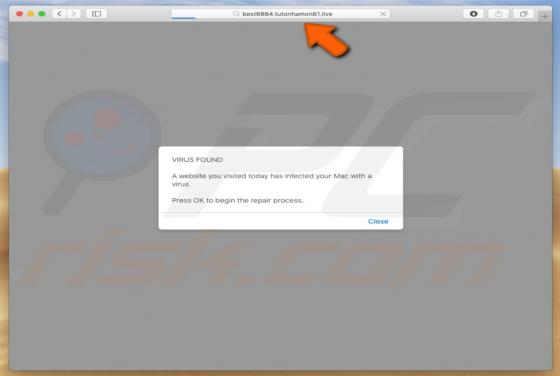 Tutonhamon POP-UP Scam (Mac)