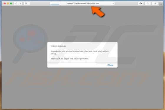 Websitetrafficgo POP-UP Scam (Mac)
