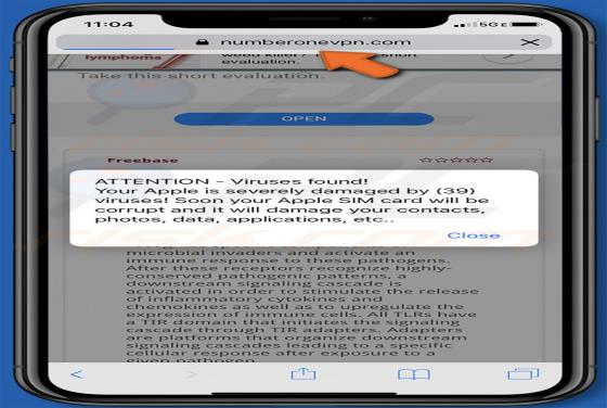 Numberonevpn.com POP-UP Scam (Mac)