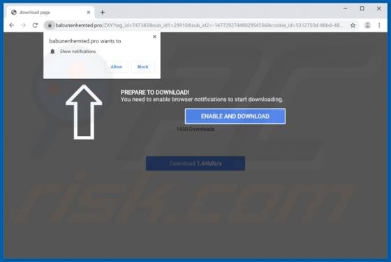 Babunenhemted.pro Ads