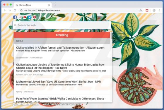 Genieonews.com Redirect (Mac)