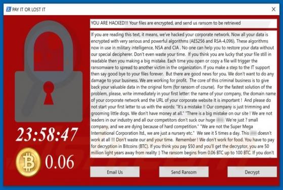 PAY IT OR LOST IT Ransomware