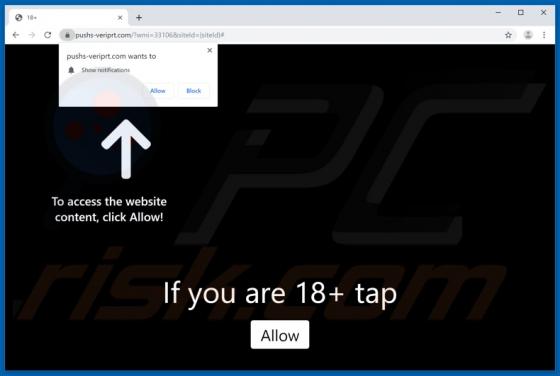 Pushs-veriprt.com Ads