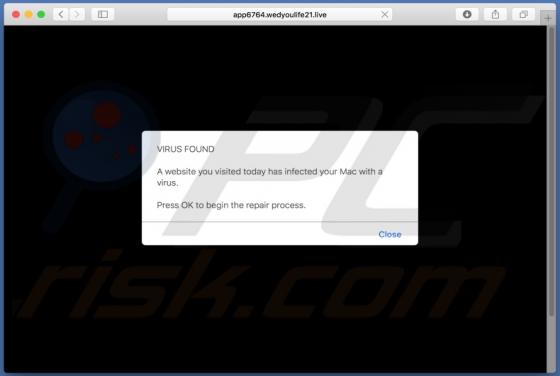 Wedyoulife POP-UP Scam (Mac)