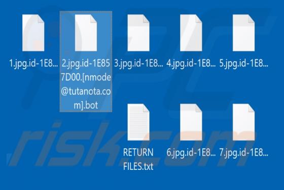 Bot Ransomware