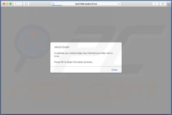 Stydbui POP-UP Scam (Mac)
