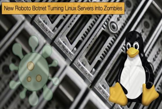 New Roboto Botnet Turning Linux Servers into Zombies