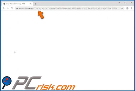 Essaemiaaut.com Ads