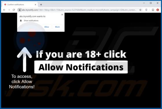 Trynotify.com Ads