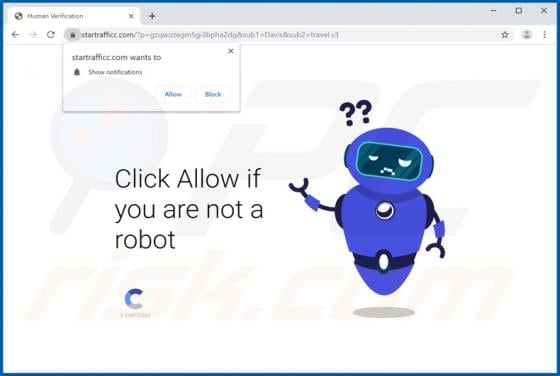 Startrafficc.com Ads