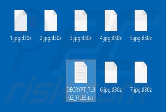 Tl30z Ransomware