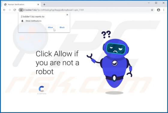 Lodder1.biz Ads