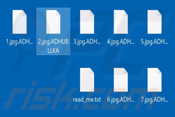 Adhubllka Ransomware