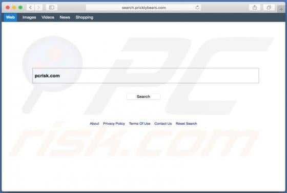 Search.pricklybears.com Redirect (Mac)