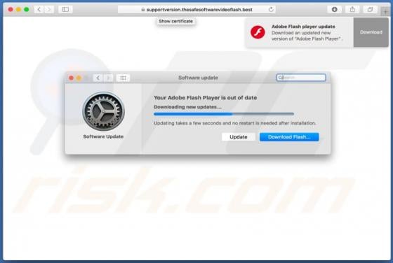 Thesafesoftwarevideoflash.best POP-UP Scam (Mac)