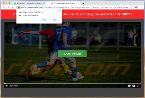 Sawhitpew.site Ads