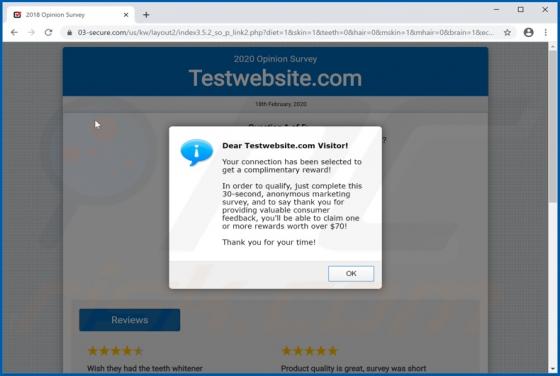 2020 Opinion Survey POP-UP Scam