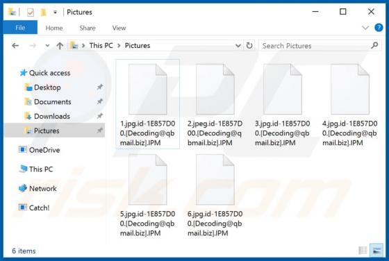 IPM Ransomware