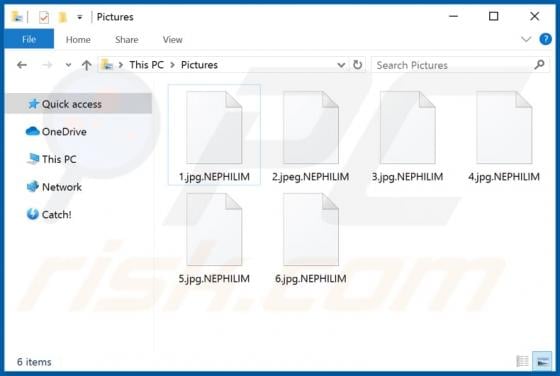 NEPHILIM Ransomware