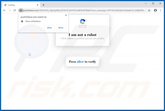 Pushishere.com Ads