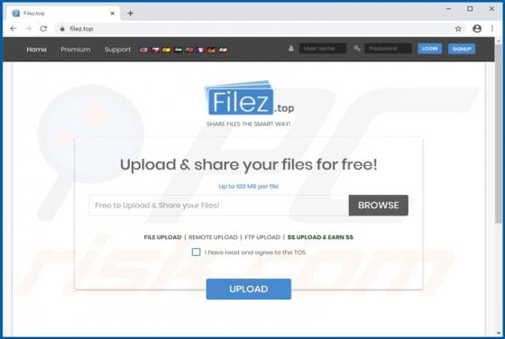 Filez.top Suspicious Website