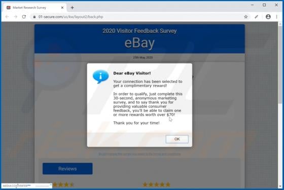 2020 Visitor Feedback Survey POP-UP Scam